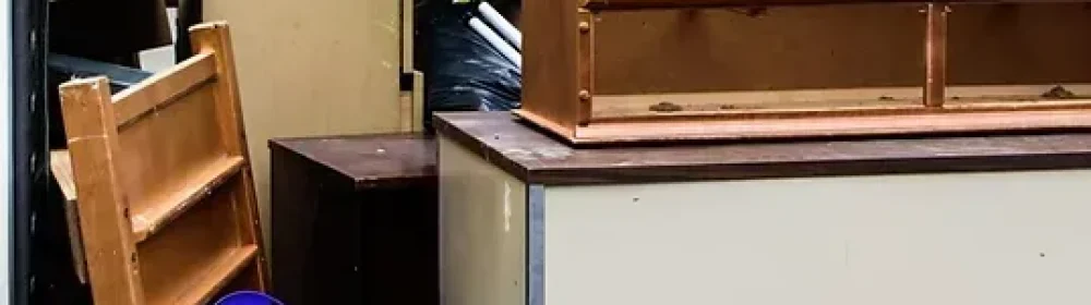 f5400a_c737e435bc09413a80135c0a3b789510-mv2-1000h f5400a_c737e435bc09413a80135c0a3b789510-mv2-1000h